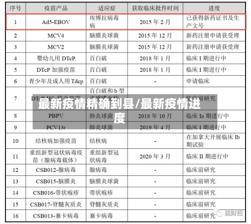 最新疫情精确到县/最新疫情进度-第2张图片
