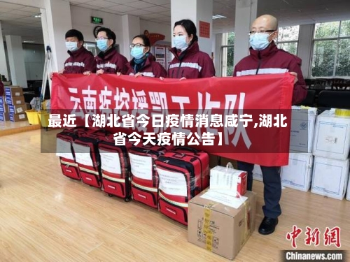 最近【湖北省今日疫情消息咸宁,湖北省今天疫情公告】