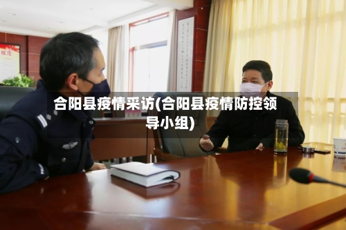 合阳县疫情采访(合阳县疫情防控领导小组)-第2张图片