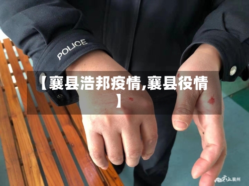 【襄县浩邦疫情,襄县役情】-第3张图片