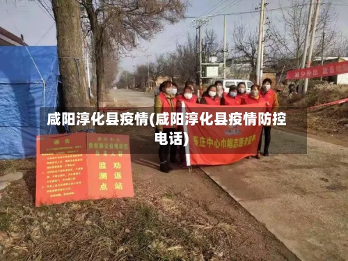 咸阳淳化县疫情(咸阳淳化县疫情防控电话)-第2张图片