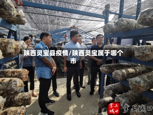 陕西灵宝县疫情/陕西灵宝属于哪个市-第2张图片