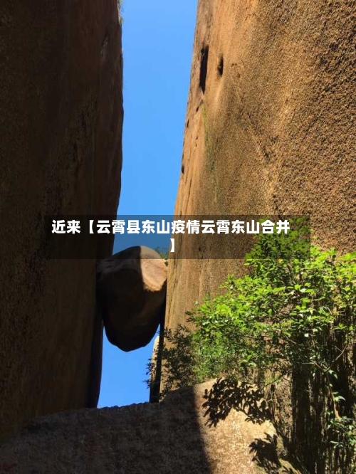 近来【云霄县东山疫情云霄东山合并】-第2张图片