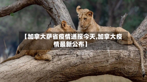 【加拿大萨省疫情通报今天,加拿大疫情最新公布】