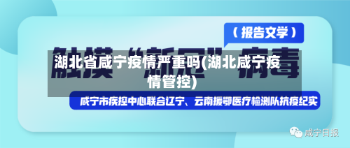 湖北省咸宁疫情严重吗(湖北咸宁疫情管控)