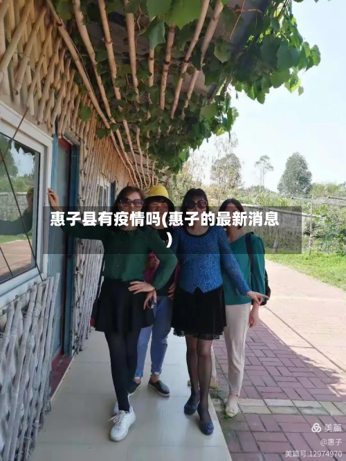 惠子县有疫情吗(惠子的最新消息)