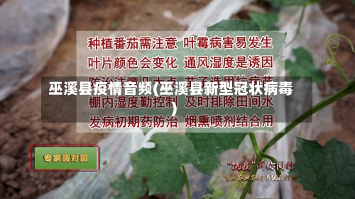 巫溪县疫情音频(巫溪县新型冠状病毒)-第2张图片