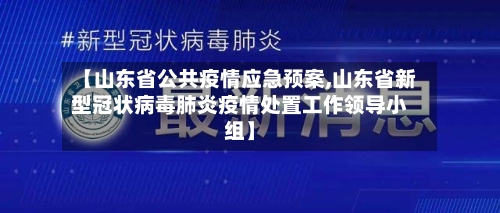 【山东省公共疫情应急预案,山东省新型冠状病毒肺炎疫情处置工作领导小组】