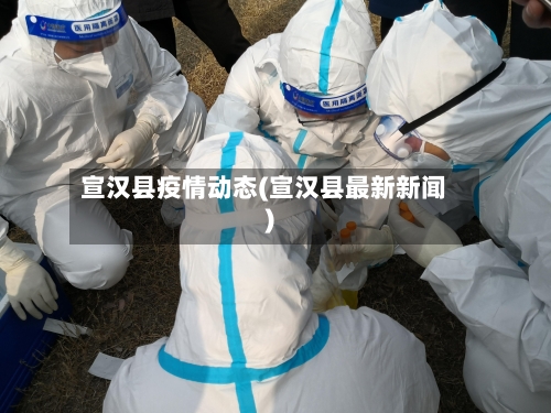 宣汉县疫情动态(宣汉县最新新闻)-第3张图片