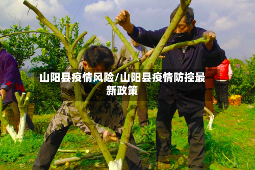 山阳县疫情风险/山阳县疫情防控最新政策