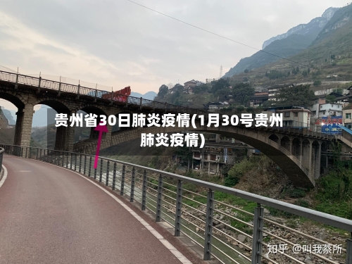 贵州省30日肺炎疫情(1月30号贵州肺炎疫情)-第2张图片