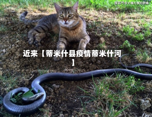 近来【蒂米什县疫情蒂米什河】-第3张图片