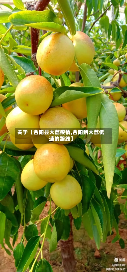 关于【合阳县大荔疫情,合阳到大荔低速的路线】