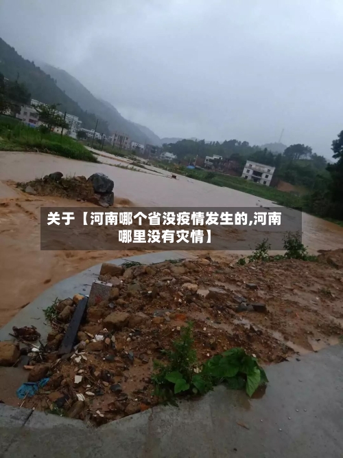 关于【河南哪个省没疫情发生的,河南哪里没有灾情】