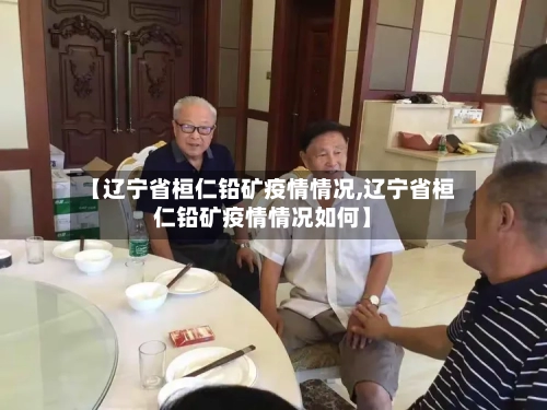 【辽宁省桓仁铅矿疫情情况,辽宁省桓仁铅矿疫情情况如何】-第2张图片