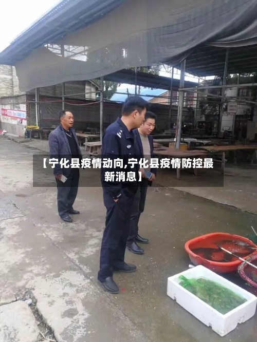 【宁化县疫情动向,宁化县疫情防控最新消息】-第3张图片
