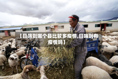 【日喀则哪个县比较多疫情,日喀则有疫情吗】-第3张图片