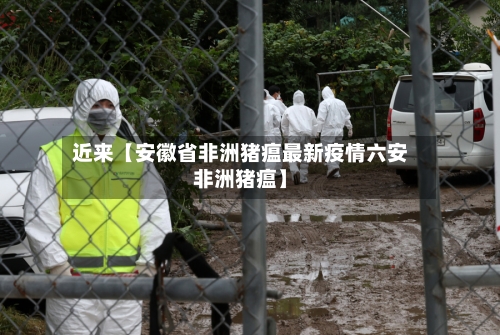近来【安徽省非洲猪瘟最新疫情六安非洲猪瘟】