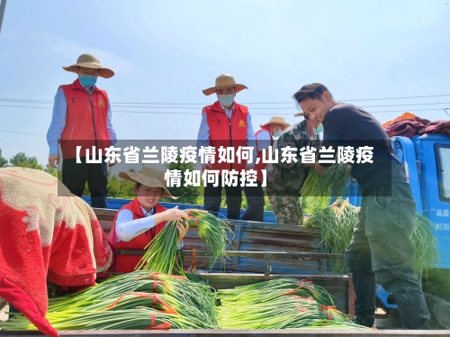 【山东省兰陵疫情如何,山东省兰陵疫情如何防控】