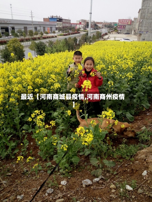 最近【河南商城县疫情,河南商州疫情】