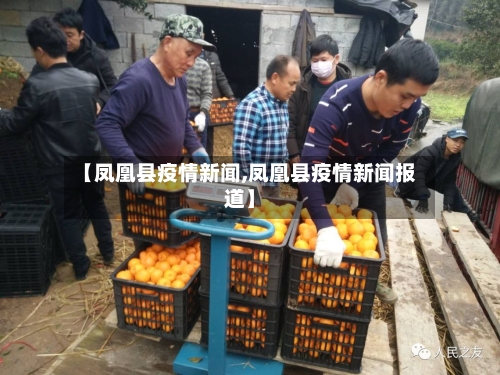 【凤凰县疫情新闻,凤凰县疫情新闻报道】-第3张图片