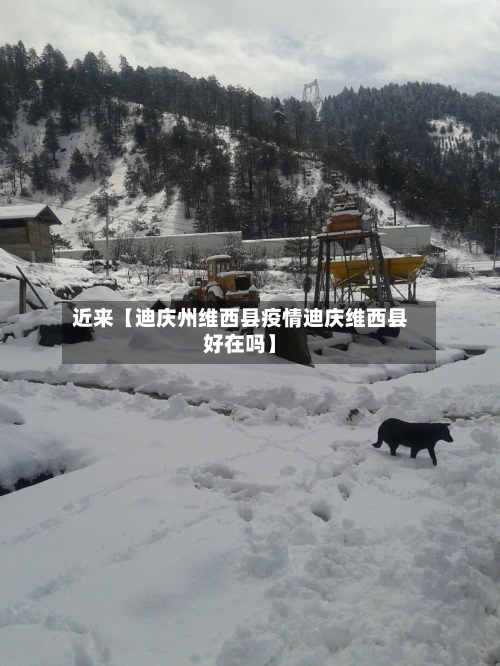 近来【迪庆州维西县疫情迪庆维西县好在吗】-第2张图片