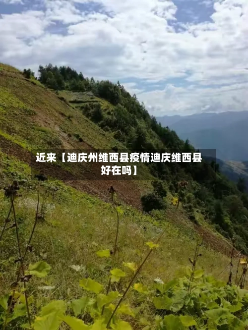 近来【迪庆州维西县疫情迪庆维西县好在吗】