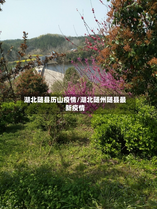 湖北随县历山疫情/湖北随州随县最新疫情