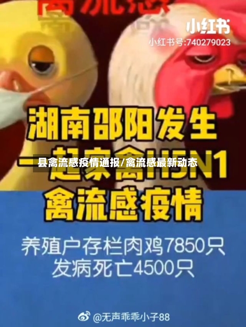 县禽流感疫情通报/禽流感最新动态