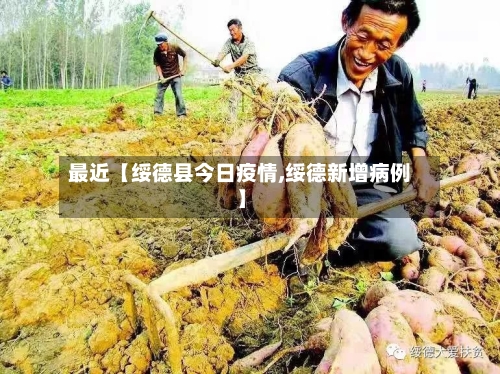 最近【绥德县今日疫情,绥德新增病例】