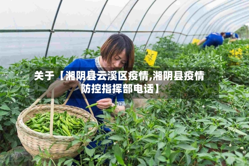 关于【湘阴县云溪区疫情,湘阴县疫情防控指挥部电话】-第2张图片