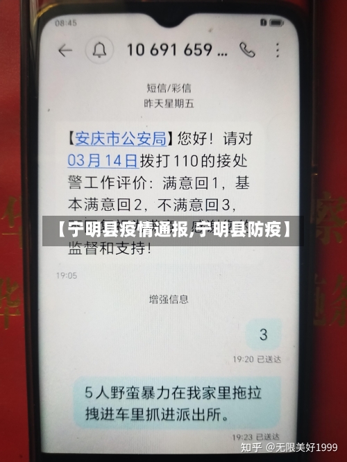 【宁明县疫情通报,宁明县防疫】-第3张图片