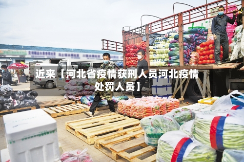 近来【河北省疫情获刑人员河北疫情处罚人员】