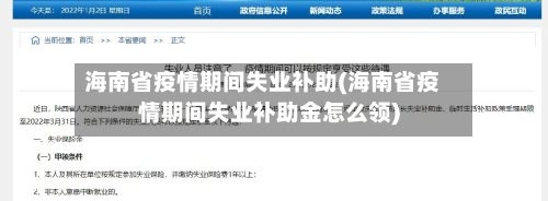 海南省疫情期间失业补助(海南省疫情期间失业补助金怎么领)-第2张图片