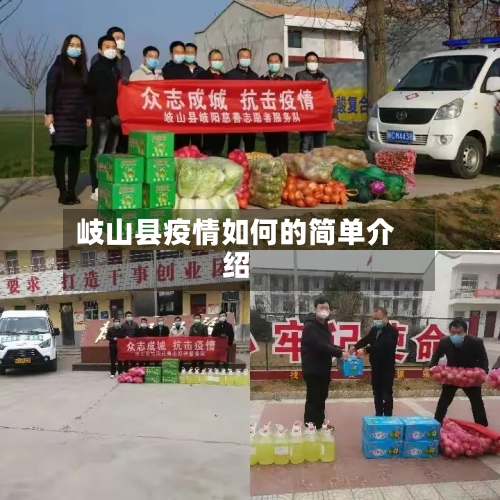 岐山县疫情如何的简单介绍-第2张图片