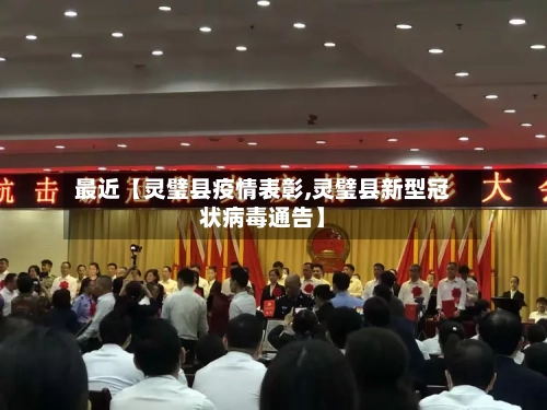 最近【灵璧县疫情表彰,灵璧县新型冠状病毒通告】-第2张图片