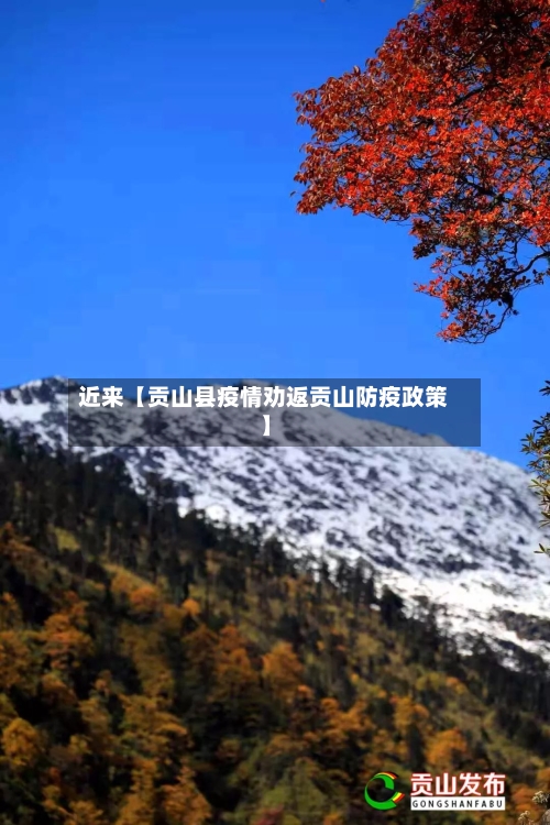 近来【贡山县疫情劝返贡山防疫政策】-第2张图片