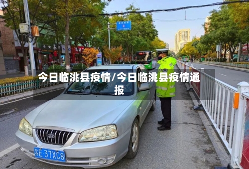 今日临洮县疫情/今日临洮县疫情通报-第2张图片