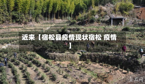 近来【宿松县疫情现状宿松 疫情】