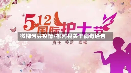 微柳河县疫情/柳河县关于病毒通告-第2张图片