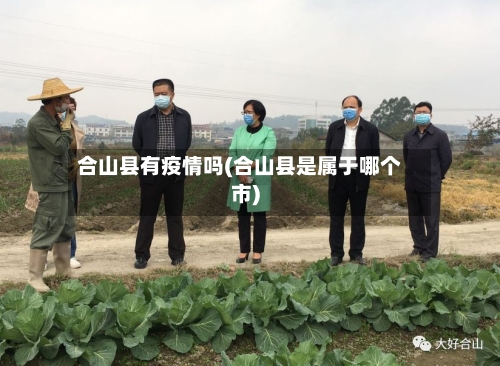 合山县有疫情吗(合山县是属于哪个市)-第2张图片