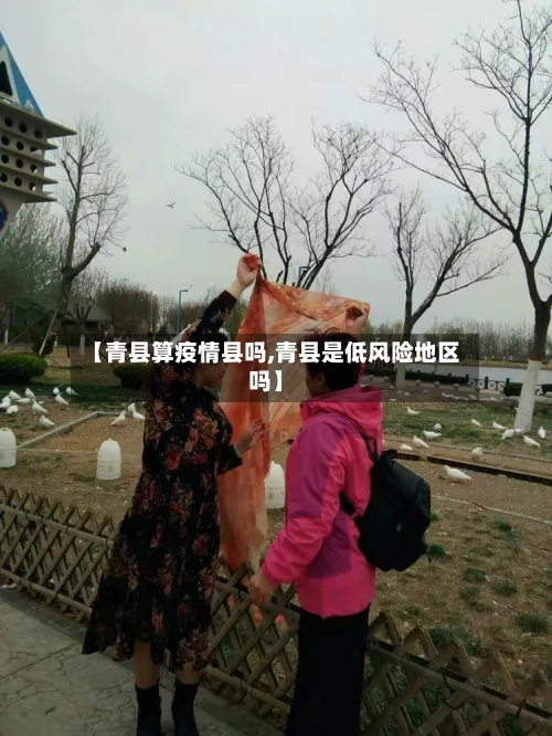 【青县算疫情县吗,青县是低风险地区吗】