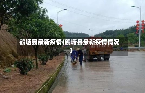 鹤塘县最新疫情(鹤塘县最新疫情情况)-第3张图片