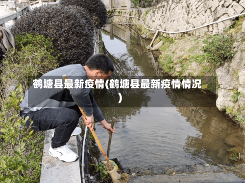 鹤塘县最新疫情(鹤塘县最新疫情情况)