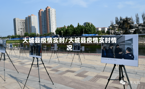 大城县疫情实时/大城县疫情实时情况-第3张图片