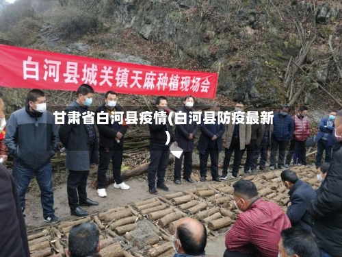 甘肃省白河县疫情(白河县防疫最新)-第3张图片