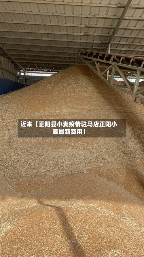 近来【正阳县小麦疫情驻马店正阳小麦最新费用】