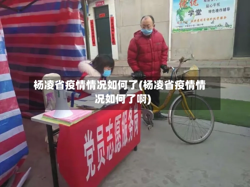 杨凌省疫情情况如何了(杨凌省疫情情况如何了啊)