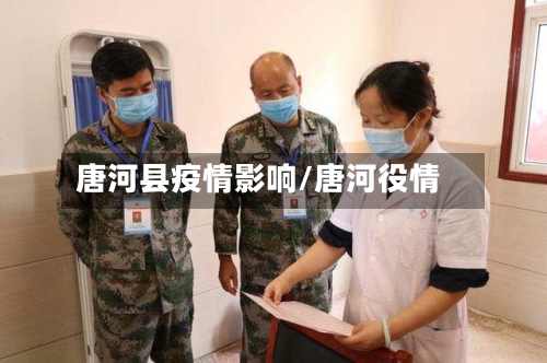 唐河县疫情影响/唐河役情-第2张图片