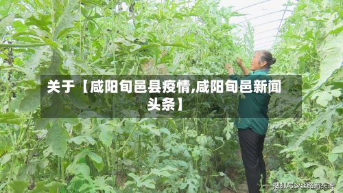关于【咸阳旬邑县疫情,咸阳旬邑新闻头条】-第2张图片